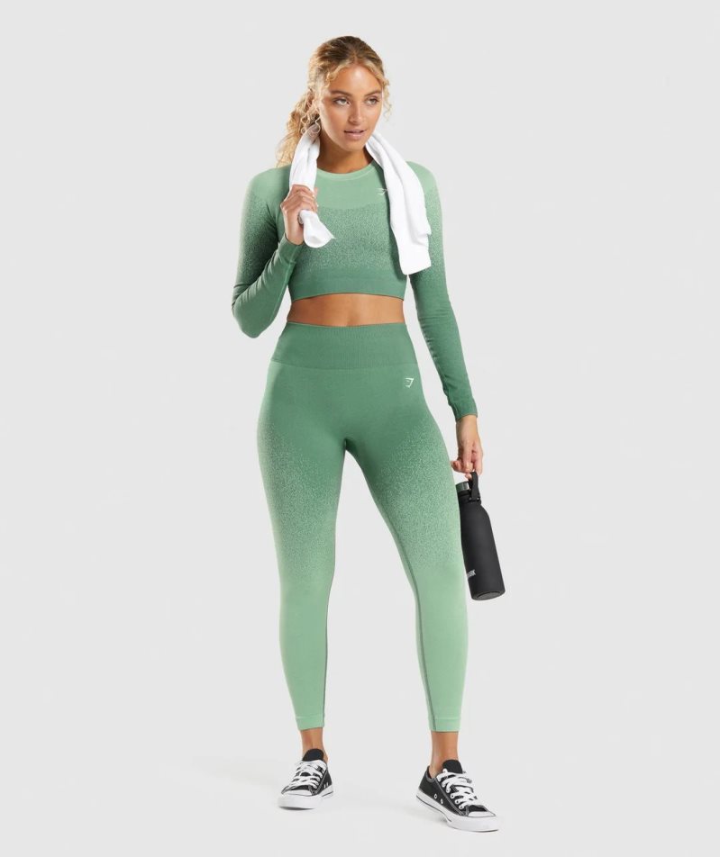 Women's Gymshark Adapt Ombre Seamless Leggings Green | CA 5187DA